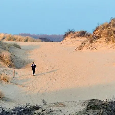 Falcon 0401 Apartment *