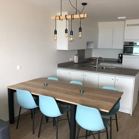 Falcon 0401 Apartment De Panne